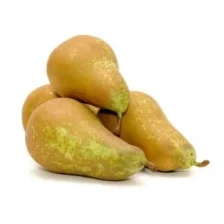 Bio Konferenz Birnen 1 Kg.jpg