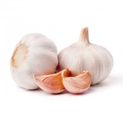 bio-trockener-knoblauch-5-kg.jpg Bio Trockener Knoblauch 5 Kg.jpg