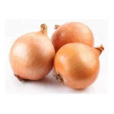 Bio Zwiebel 1 Kg.jpg