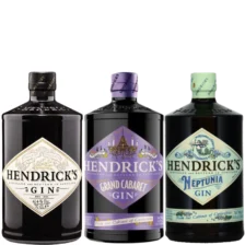 Hendricks Variation