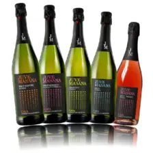 Juvé Masana Cava Sortiment – 5 × 0,75 L