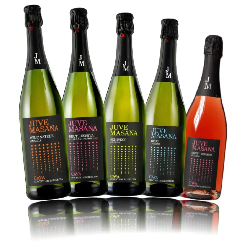 Juvé Masana Cava Sortiment – 5 × 0,75 L Juvé Masana Cava Sortiment – 5 × 0,75 L